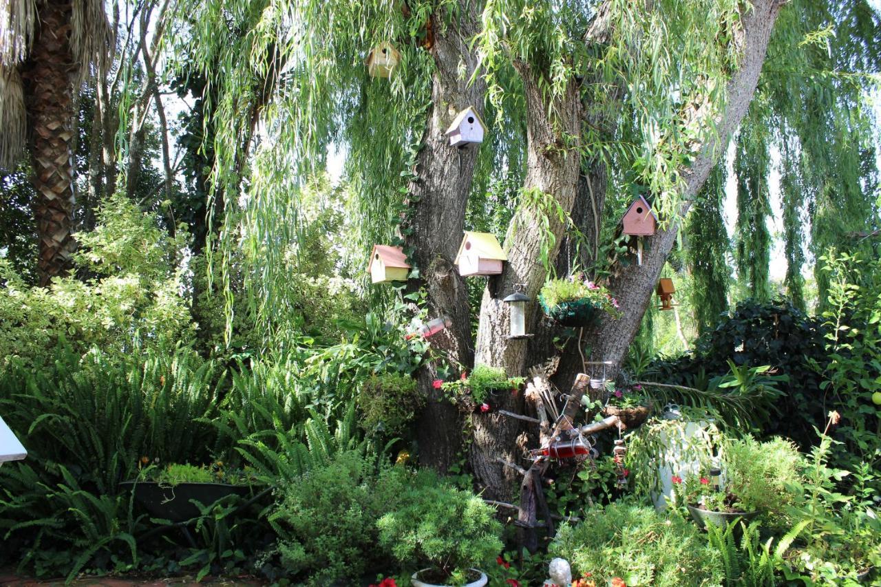 Aquaelberg Place Swellendam Luaran gambar